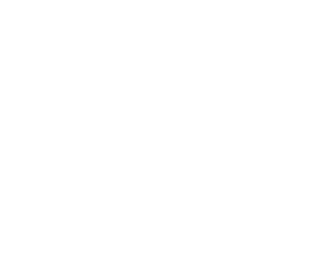 SECURE PAYMENT