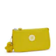 Pouches